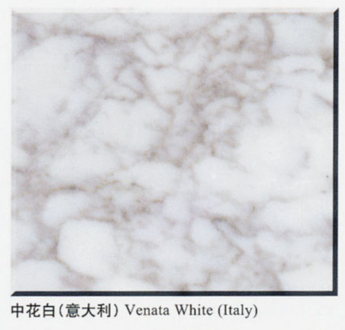 Venata White