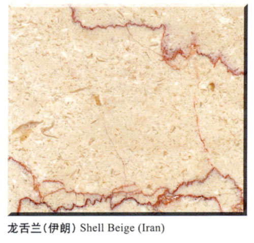 Shell Beige