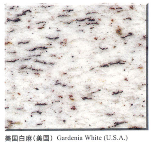 Gardenia White