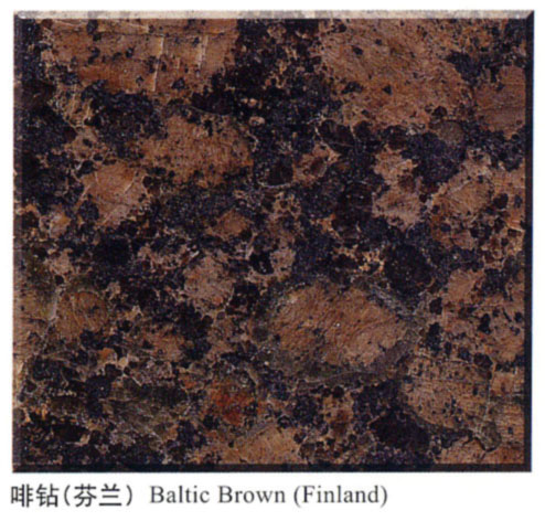 Project  CTS--Baltic Brown